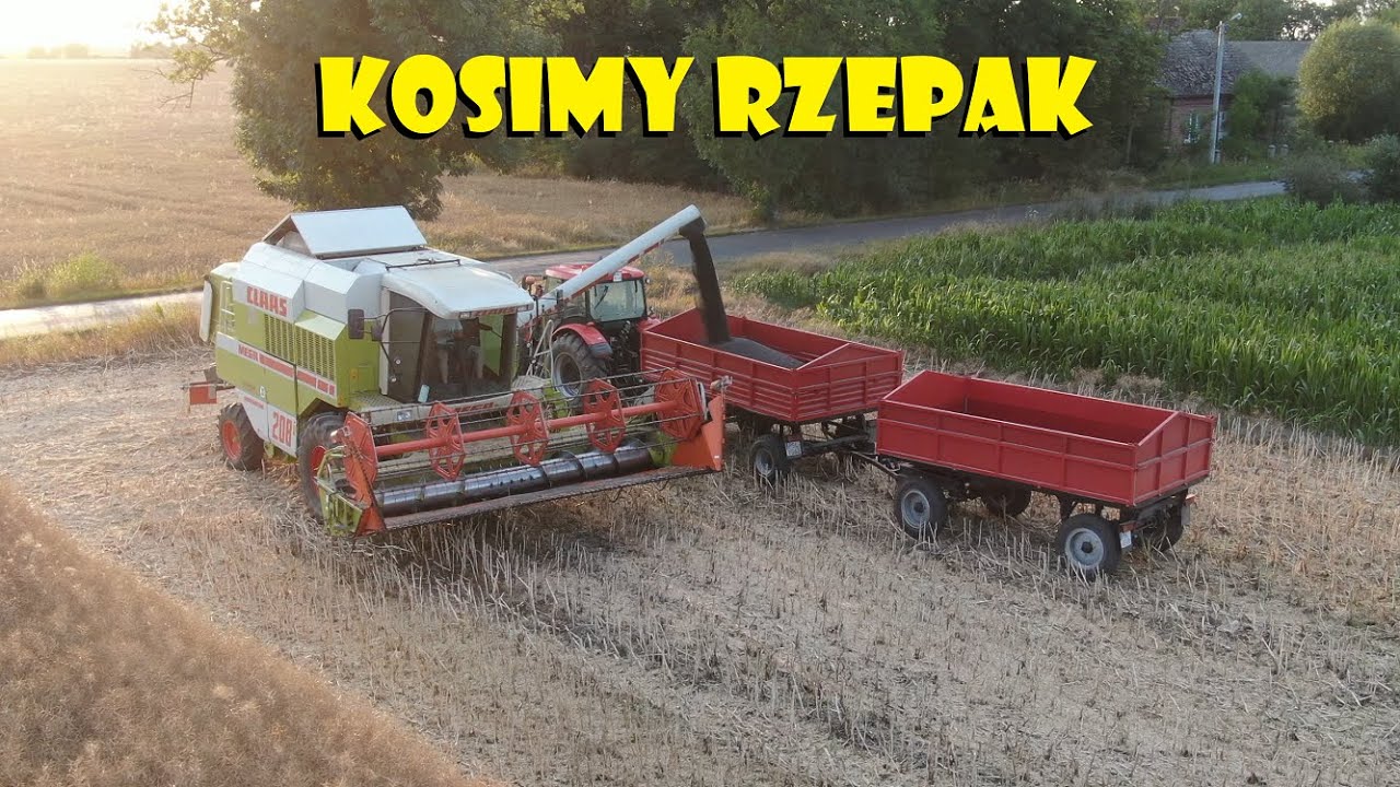 KOSIMY RZEPAK😃MIMO SUSZY JEST DOBRZE💪CLAAS MEGA 208💪Agro Dni&oacute;wka #353