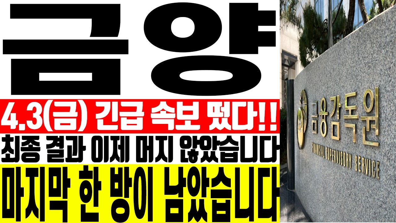 [금양 주가전망] ⚠️최종 결과 이제 머지 않았습니다 마지막 한 방이 남았습니다 | 강산 #금양 #금양주가 #금양주가전망