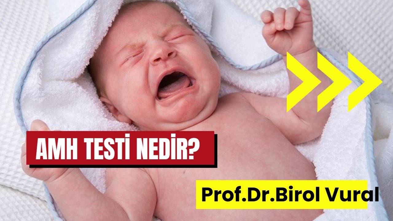 AMH testi nedir? AMH Testi Sonu&ccedil;ları Nasıl Yorumlanır? AMH hakkında her şey!