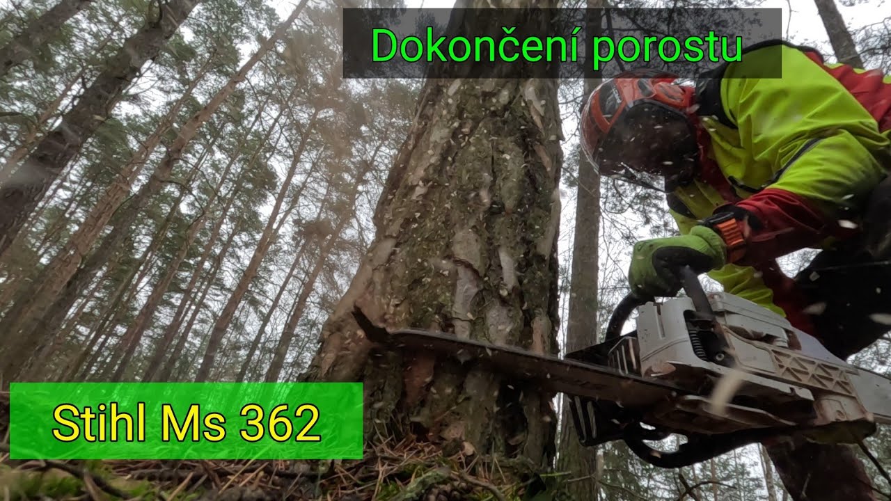 Dokončili jsme porost+ riziková osika u silnice, Stihl Ms 362, @jpforest8882