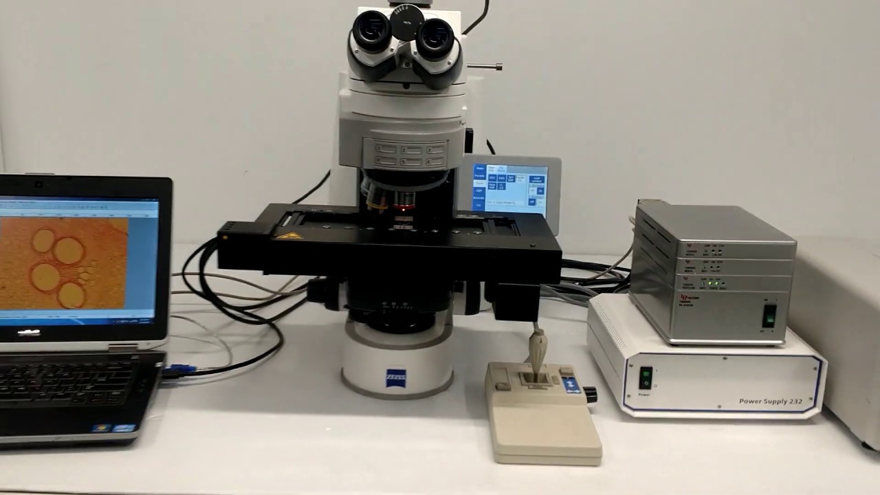 Zeiss AXIO Imager.Z2 Motorized Fluorescence Microscope [BOSTONIND] - 14615