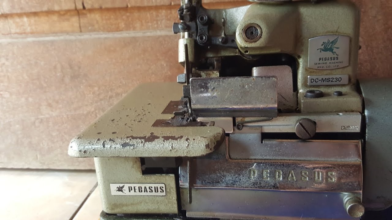 Review Pegasus DC-MS230