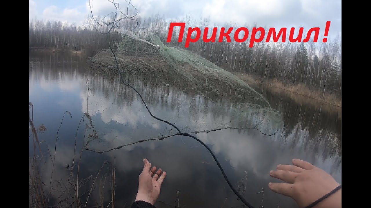 Прикормил и забросил кастинговую сеть! Разведка с кастинговой сетью по карасю. Рыбка просыпается!!