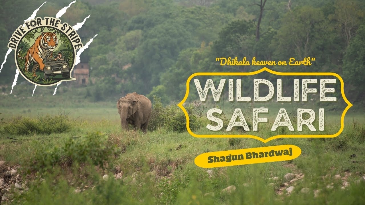 Road to Dhikala | Jim Corbett National Park Dhikala Zone| Episode 3: Dhikala  safari