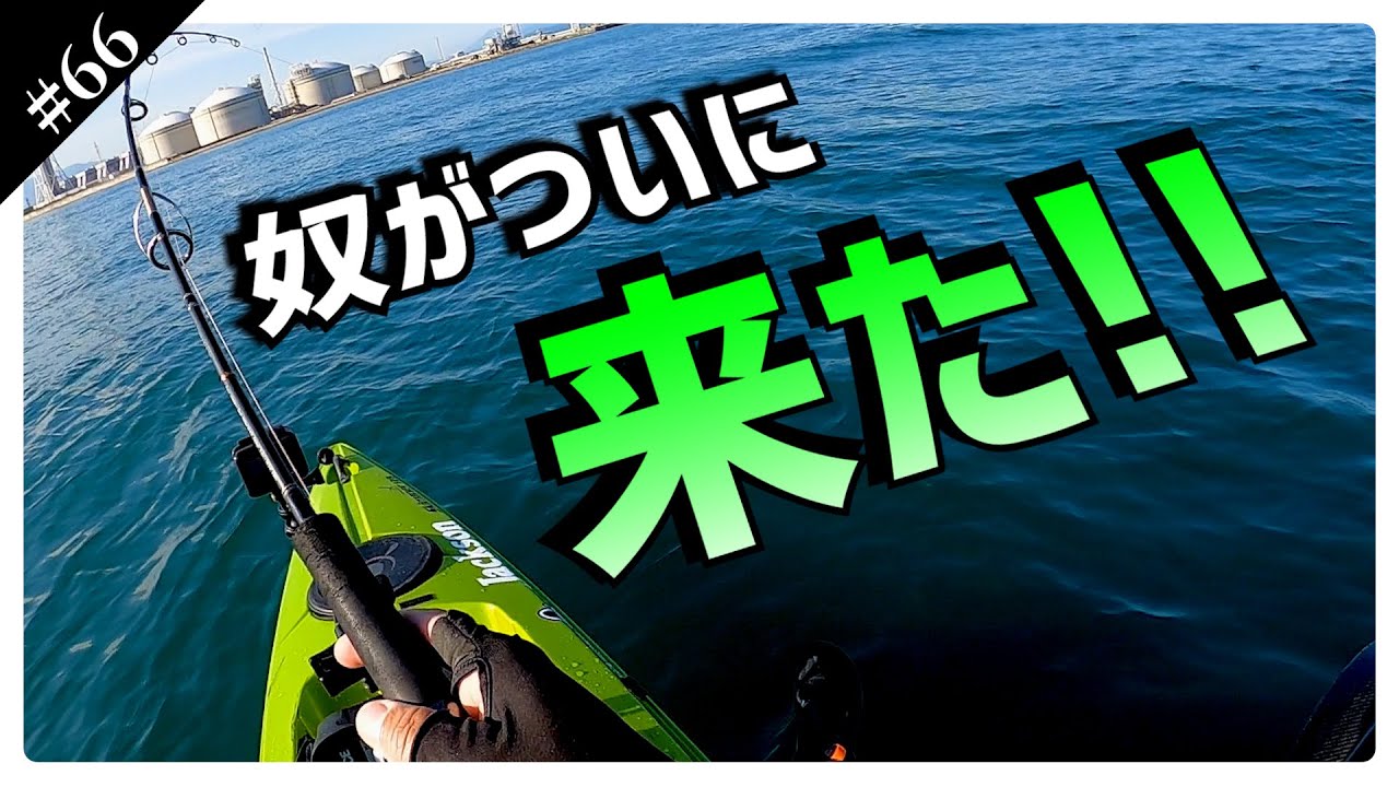 遠征先で待望の魚が！　笹川流れカヤック試乗会に行ってきました。【カヤックフィッシング釣行66】