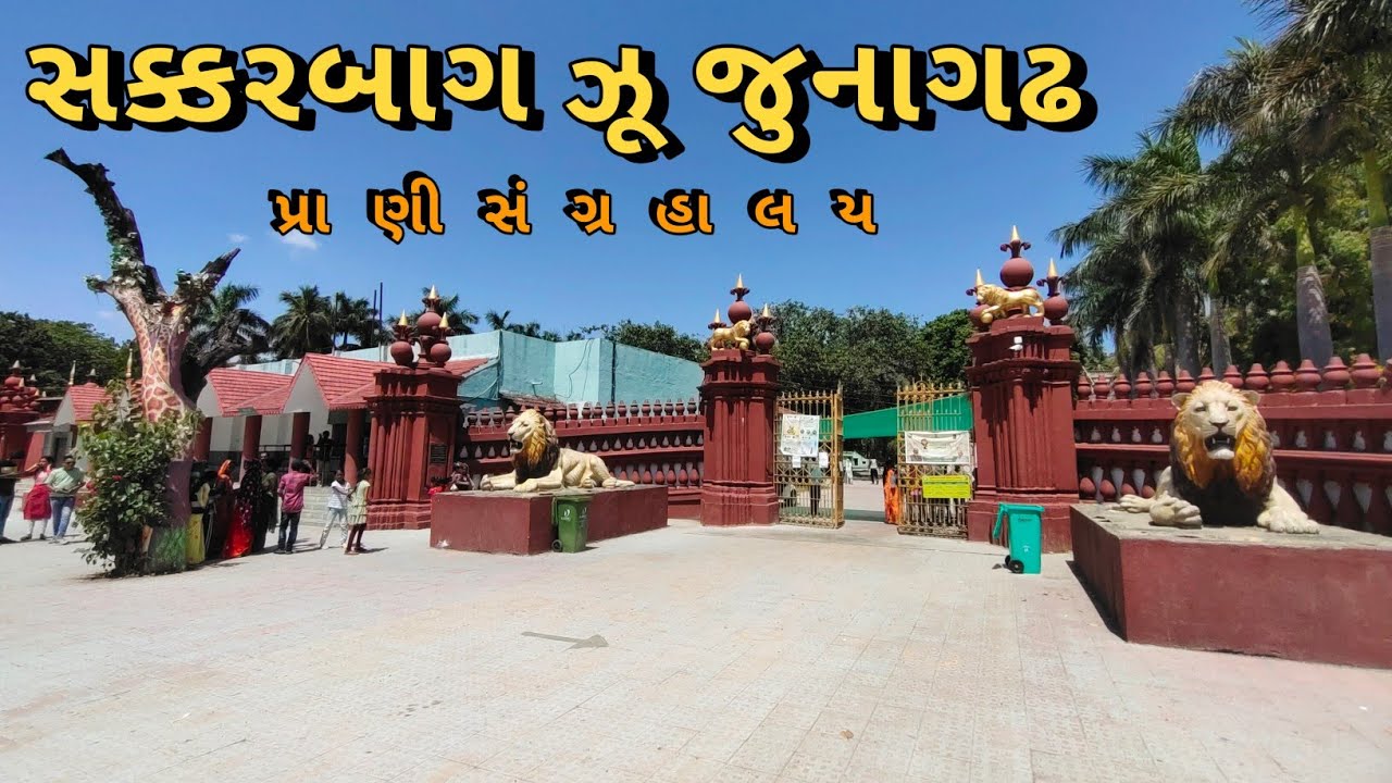 જુનાગઢ પ્રાણી સંગ્રહાલય | સક્કરબાગ ઝૂ પ્રાણીસંગ્રહાલયમાં | junagadh prani sangrahalay  jungle safari