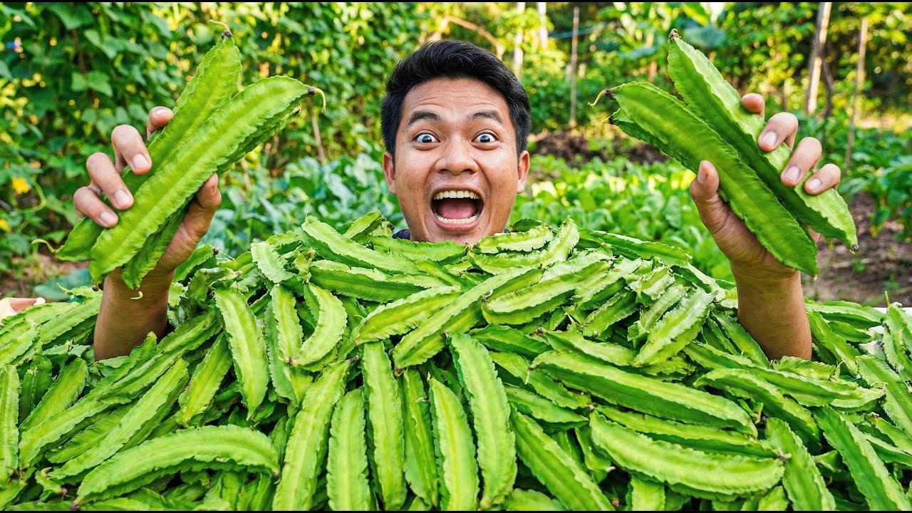 ความลับของถั่วพู ที่คนปลูกผักไม่เคยบอกคุณ  | Nava DIY