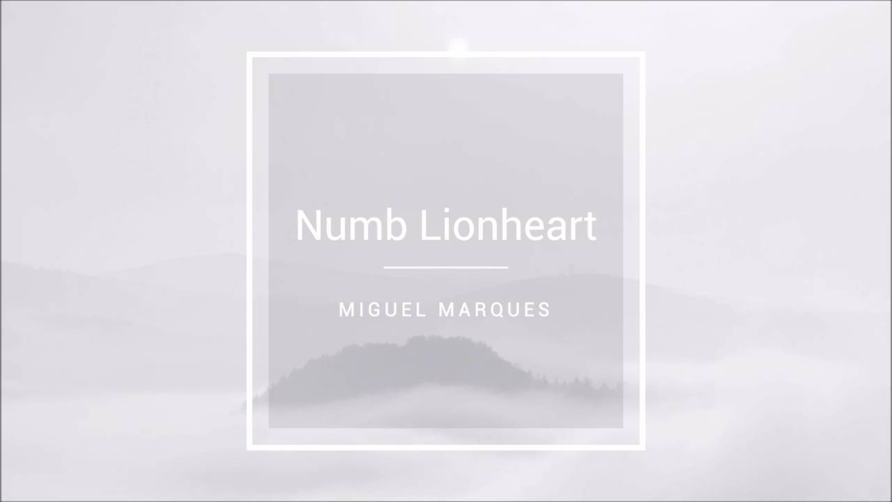 Linkin Park vs Afrojack - Numb Lionheart