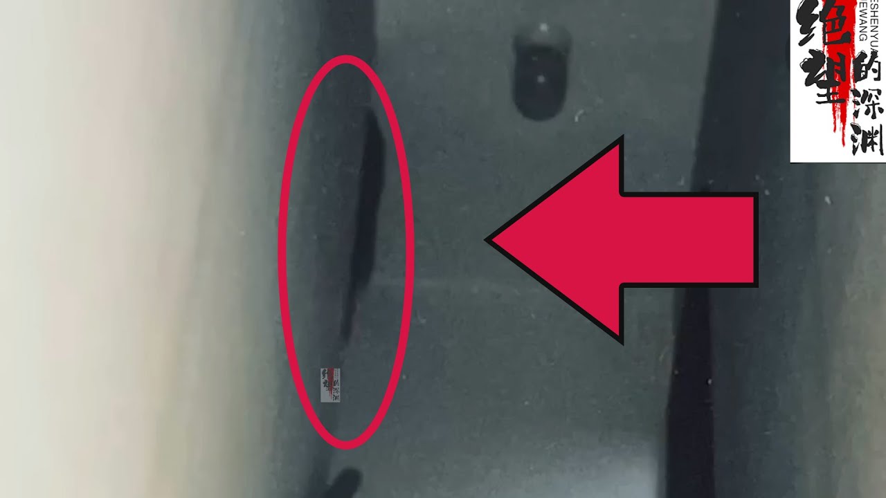 Пустая лестница, но на фото найден призрак [Запись о столкновении призраков]