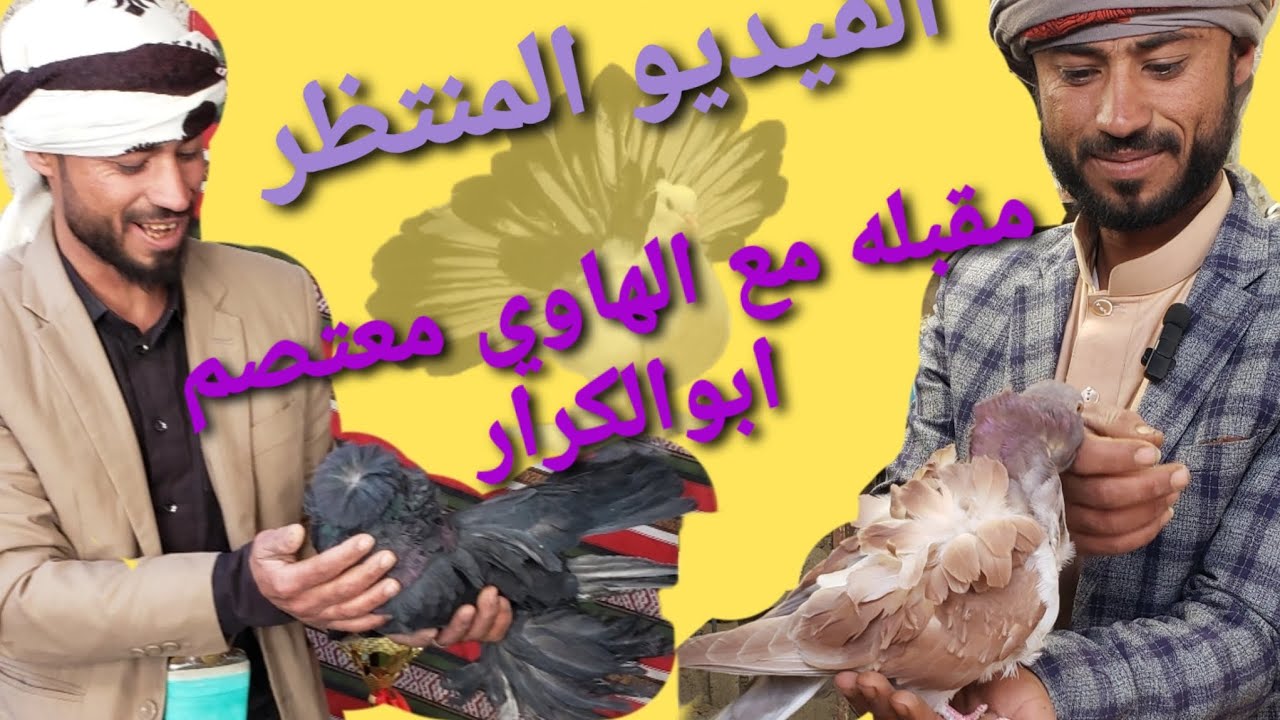مقبله مع المربي معتصم ابو الكرارمن محافظة صنعاءالحمام البخاري والحمام الكشكشي اختم اعجابك بذكر الله