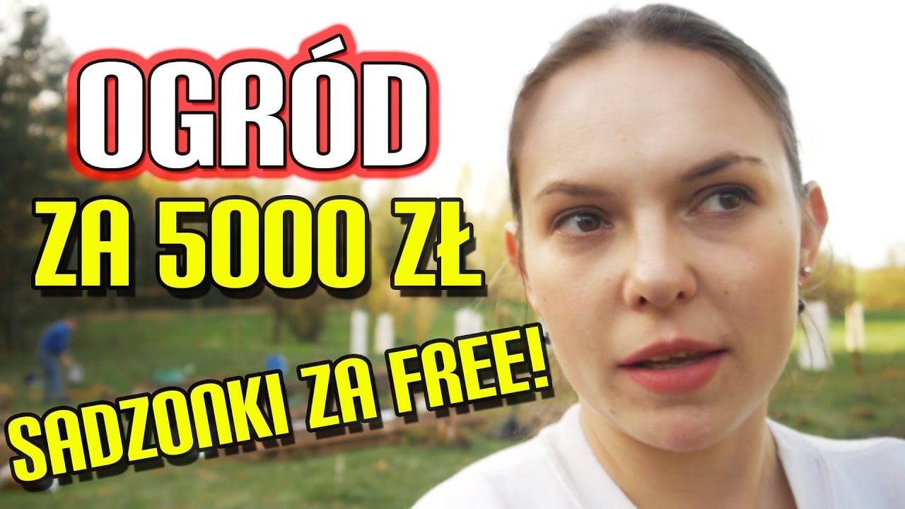 JAK ZDOBYĆ ROŚLINY ZA DARMO? Projekt: OGRÓD ZA MAX 5000 zł