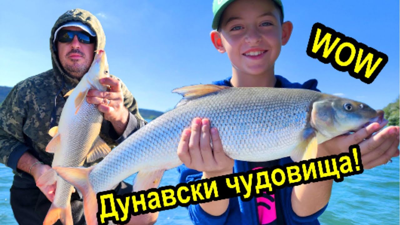 Риболов на река Дунав с. Байкал! Мрени, емоции и пълен екшън!