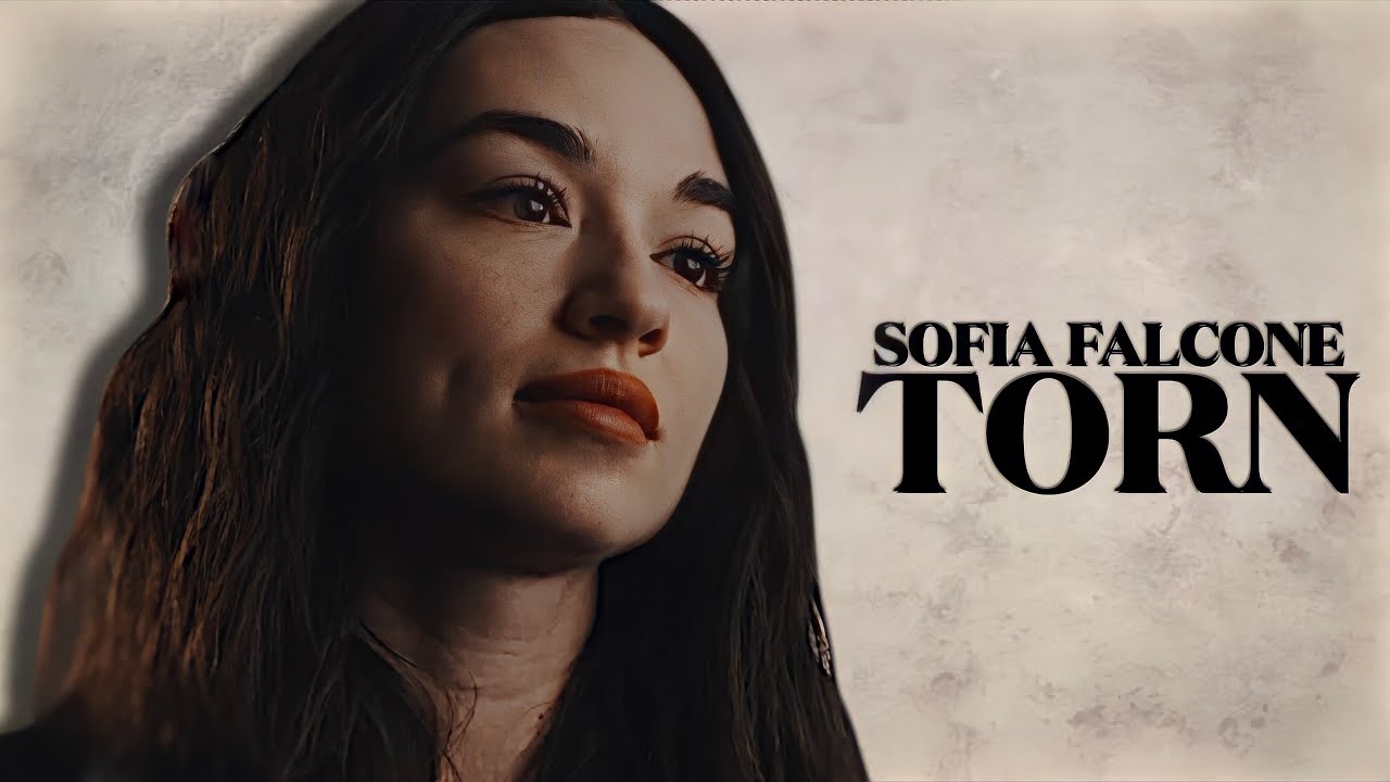 sofia falcone | torn