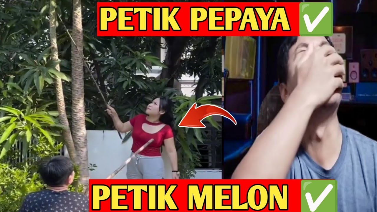 PETIK ANU 🗿 REACTION MEME KOCAK