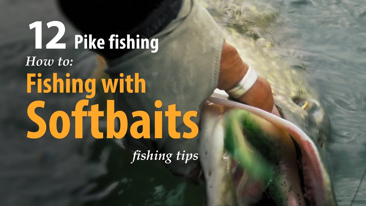 How to • Pike fishing • Fishing with Softbaits • fishing tips