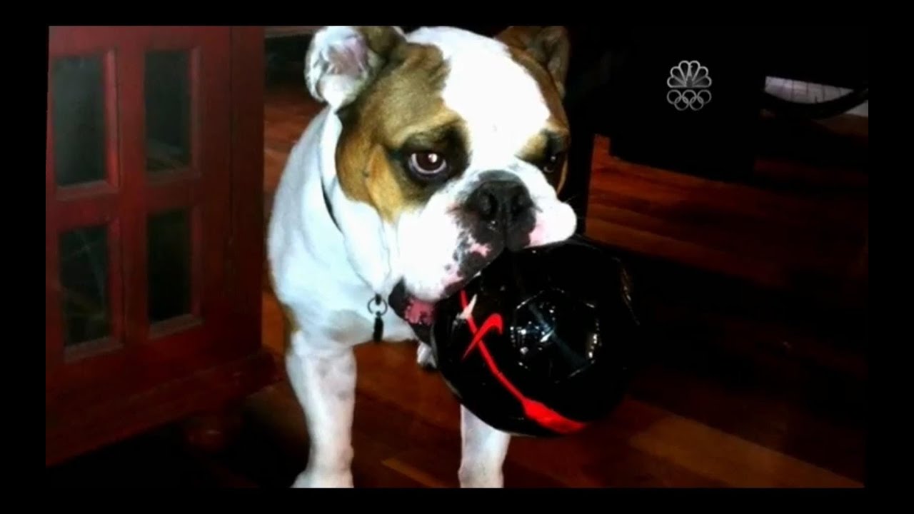 Olympic Pets | NBC Sports