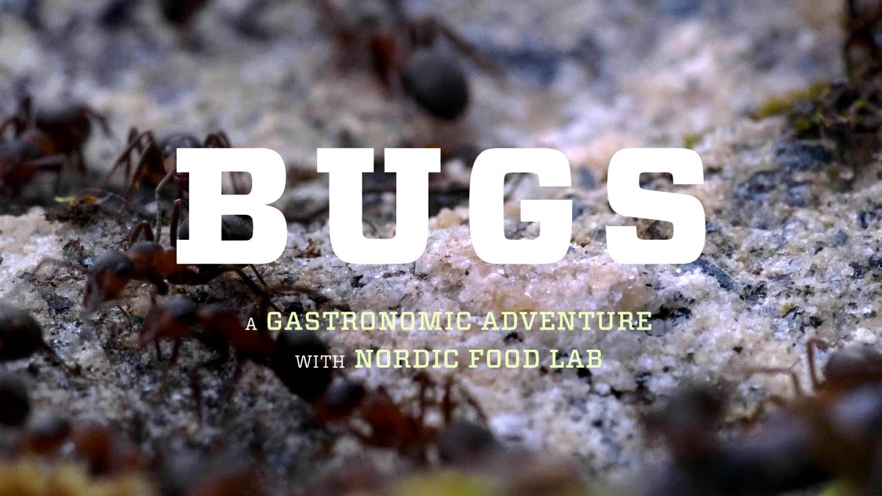 BUGS the film – Will eating insects save our Earth? – official trailer #Tribeca2016