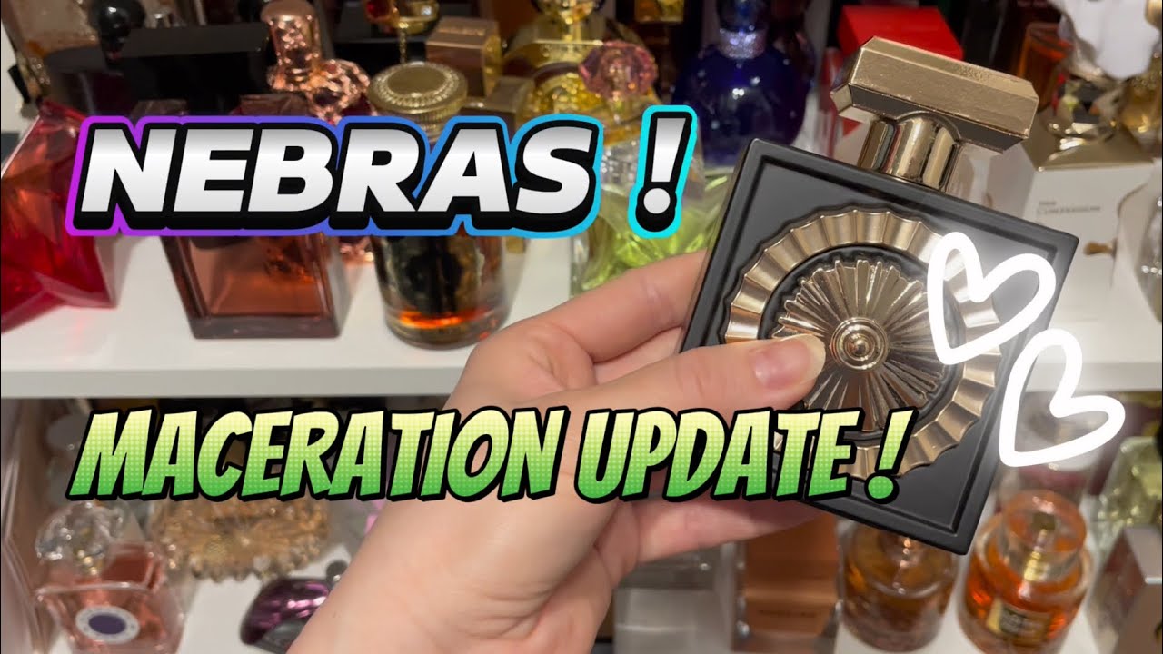 NEBRAS from Lattafa ! Maceration Update ! 🤍 #perfume #fragrance #perfumereview #lattafa #nebras