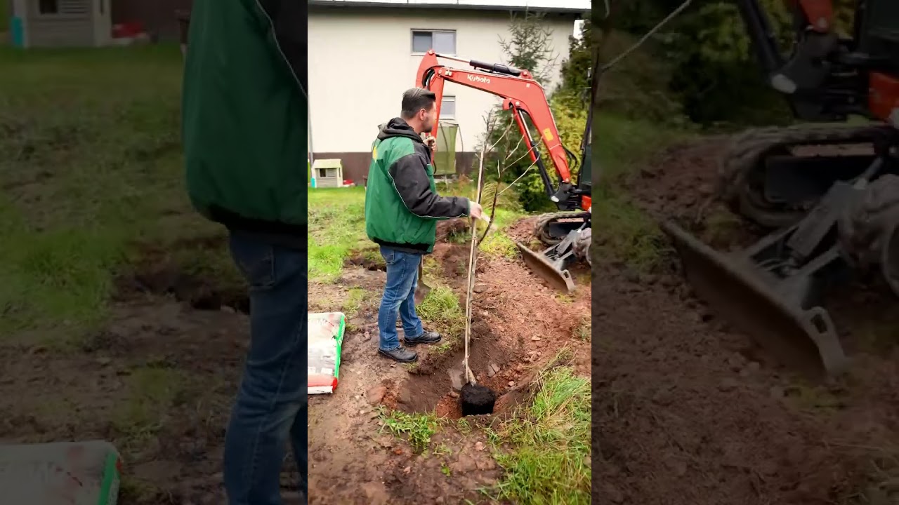 Auf viele neue Bäume! Die passenden Utensilien & Materialien findet ihr bei uns in Wartenberg 🌳