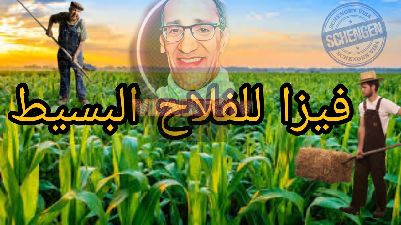 #أجي_تفهم_الطريقة الصحيحة  لفيزا فلاحة