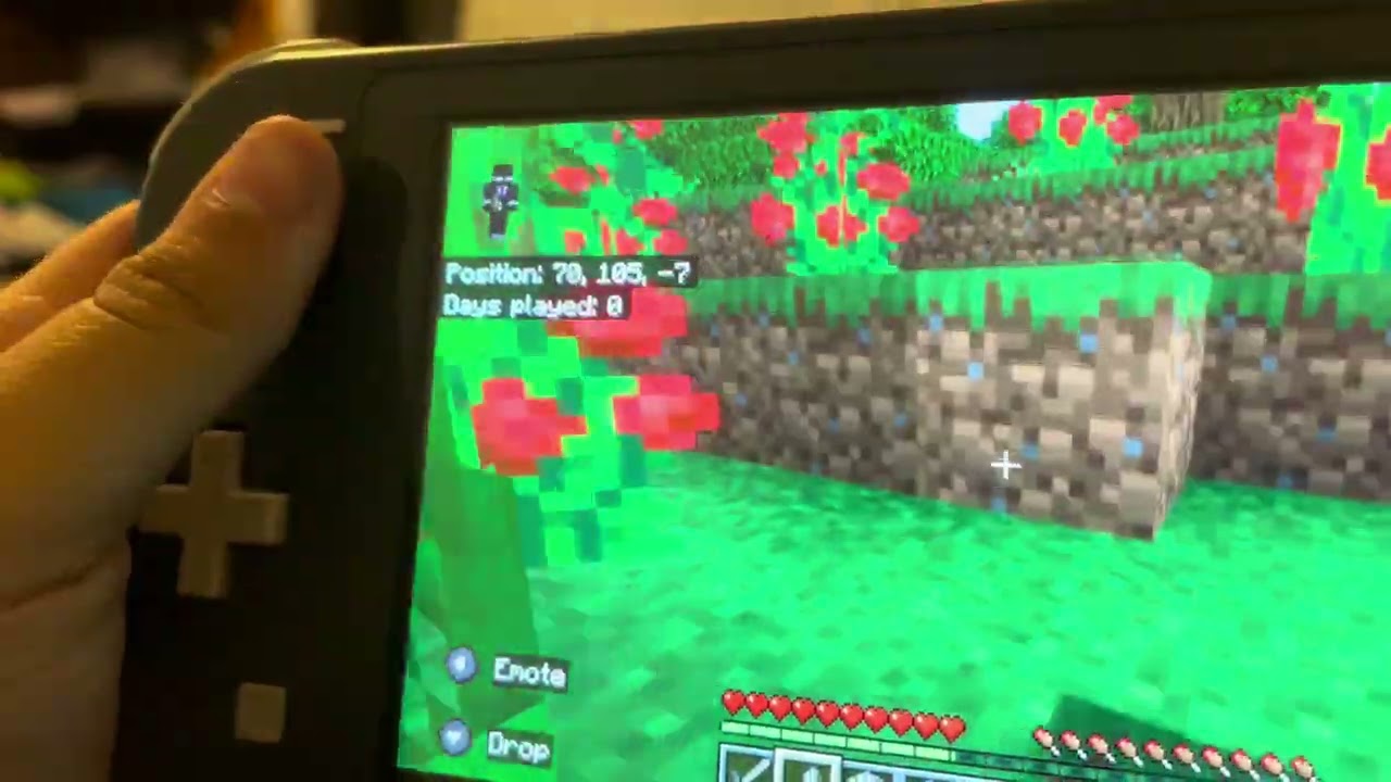 My Minecraft world pt 1