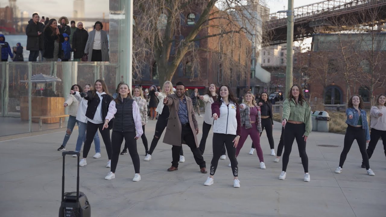 Sara and Mir's Flash Mob Proposal