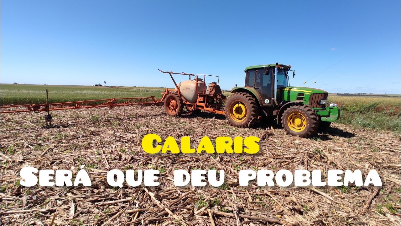 USANDO CALARIS PELA SEGUNDA VEZ Como será que foi essa experiência, mais teste de Aplicação