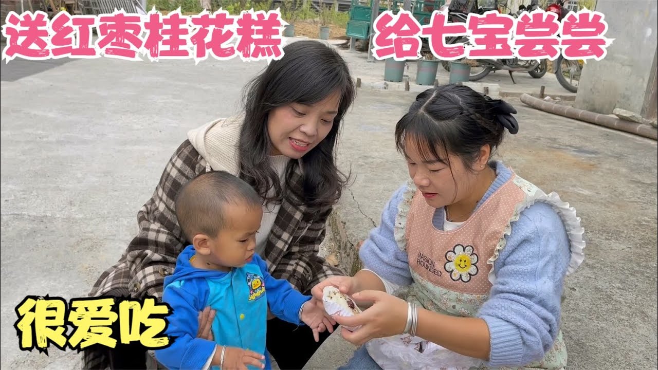 七宝是小捧场王，娜姐送的红枣桂花糕吃不停，秋子家银杏果铺满地