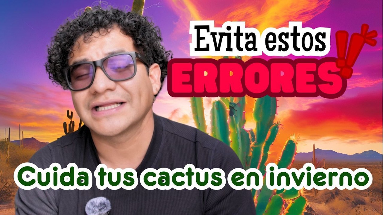 Los 8 errores de cuidado de cactus en invierno que debes conocer