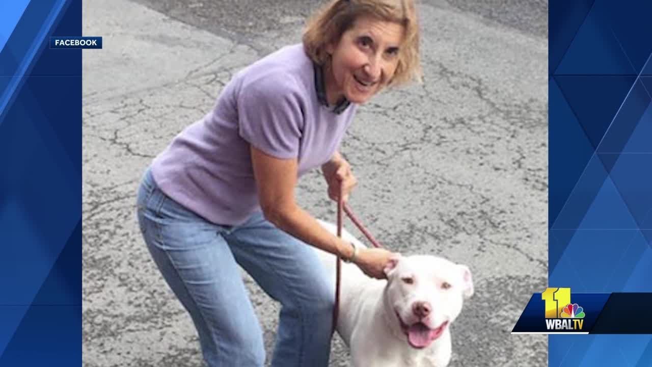 Dog that killed Columbia woman, 64, had limited history