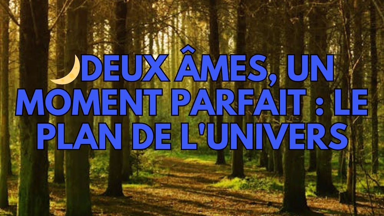 🌙Deux âmes, un moment parfait : le plan de l'Univers