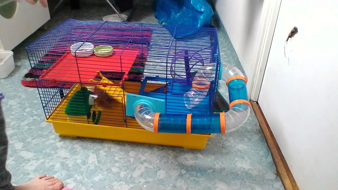 G&ouml;r min hamsterbur med mig 🐹🐹🐹🐹