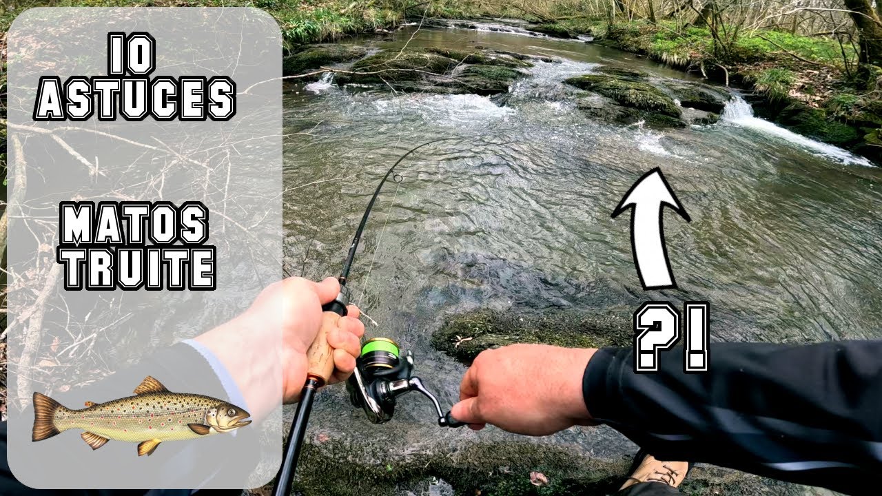 10 astuces matos truite pour r&eacute;ussir vos sessions AR-S SMITH B&eacute;arn Pyr&eacute;n&eacute;es Bushcraft