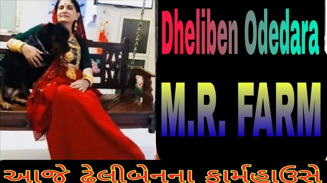 કુતીયાણા નગરપાલિકાના પ્રમુખ શ્રી ઢેલીબેન ઓડેદરા ના ફાર્મહાઉસે આવ્યા @motimahervlogs7878#kutiyana