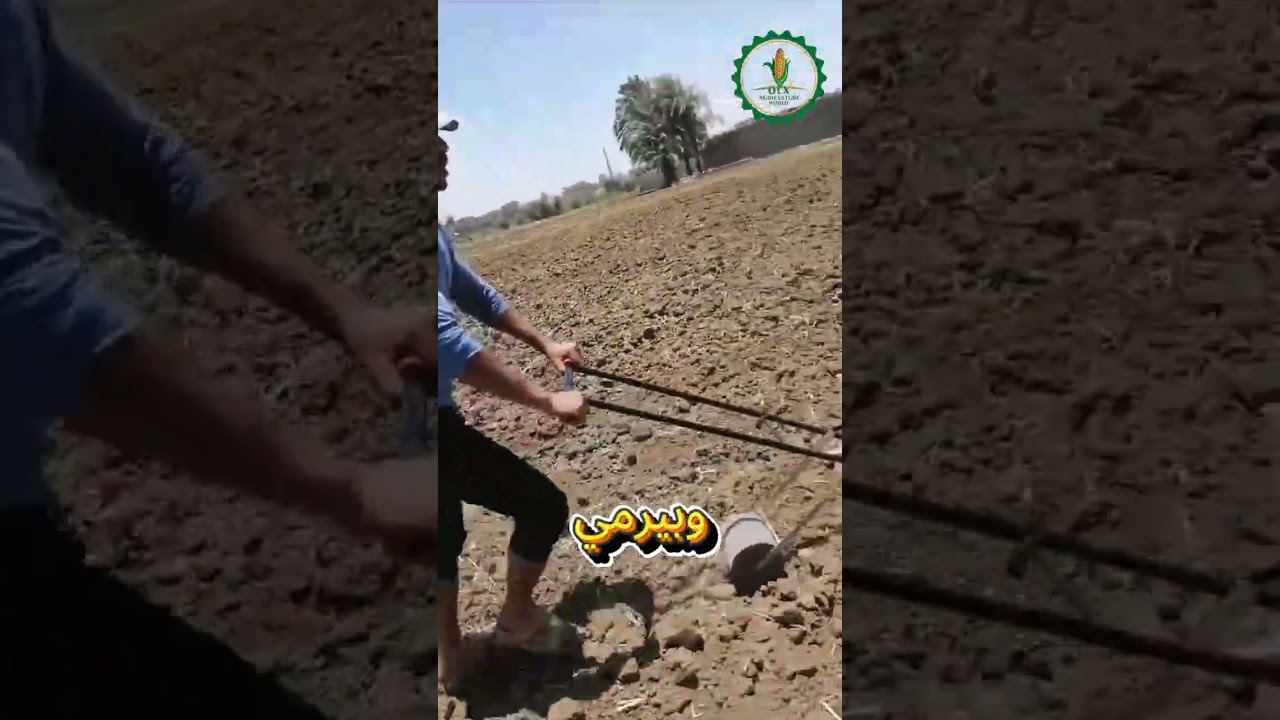 البلانتر  اللى هز الوطن العربى كله  بس البلانتر اللى بيزرع الفدان فى ساعتين !😱