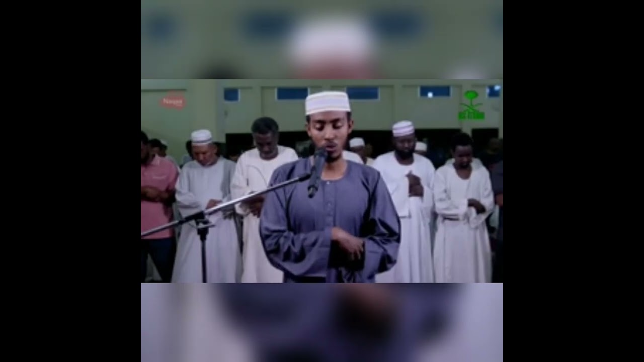 سورة يوسف كاملة   عفيف محمد تاج