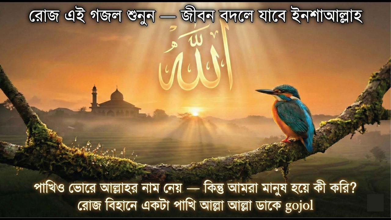 Gojol,gojol,gazal,ghazal,gojol 2026,nouton gojol,new gojol রোজ বিহানে একটা পাখি আল্লাহ আল্লাহ ডাকে.
