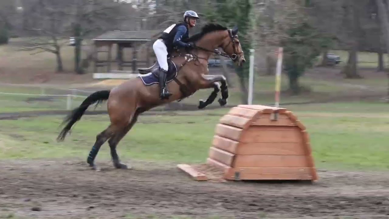 Quelques passages sur le cross de la Pro Élite. Grand National de Saumur 2026