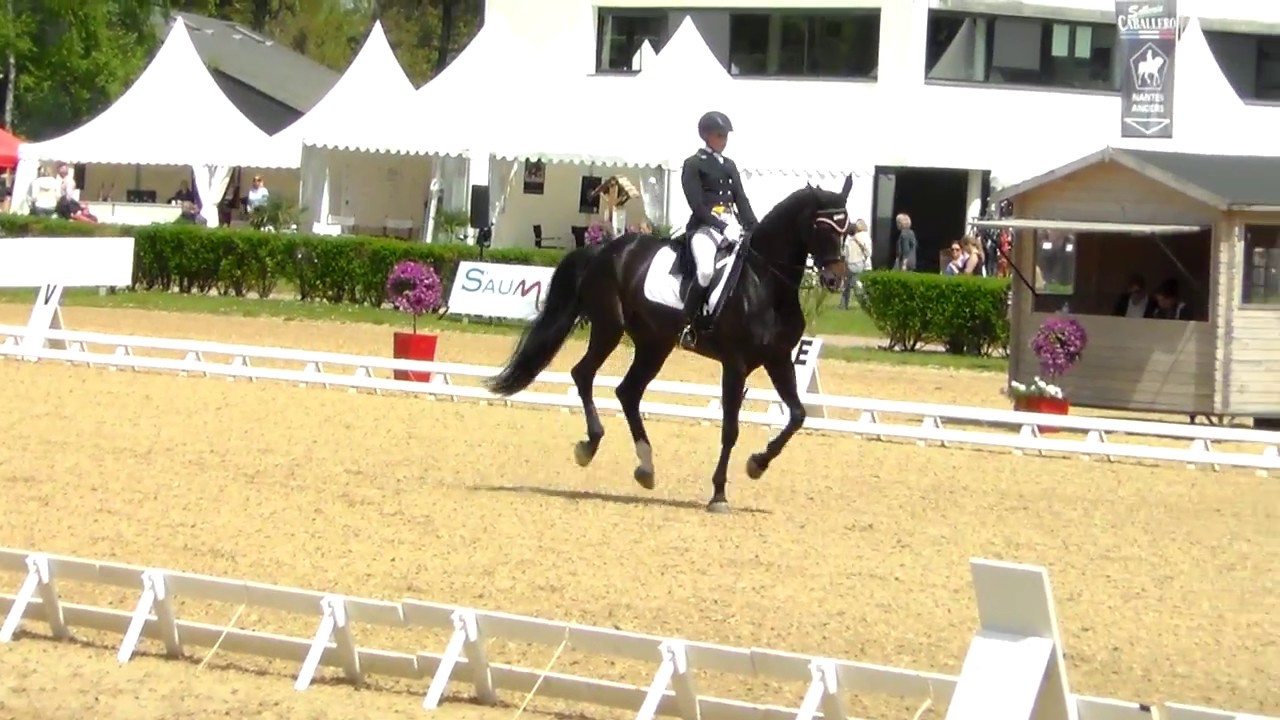 🎠 Concours international Saumur 2013 🎠
