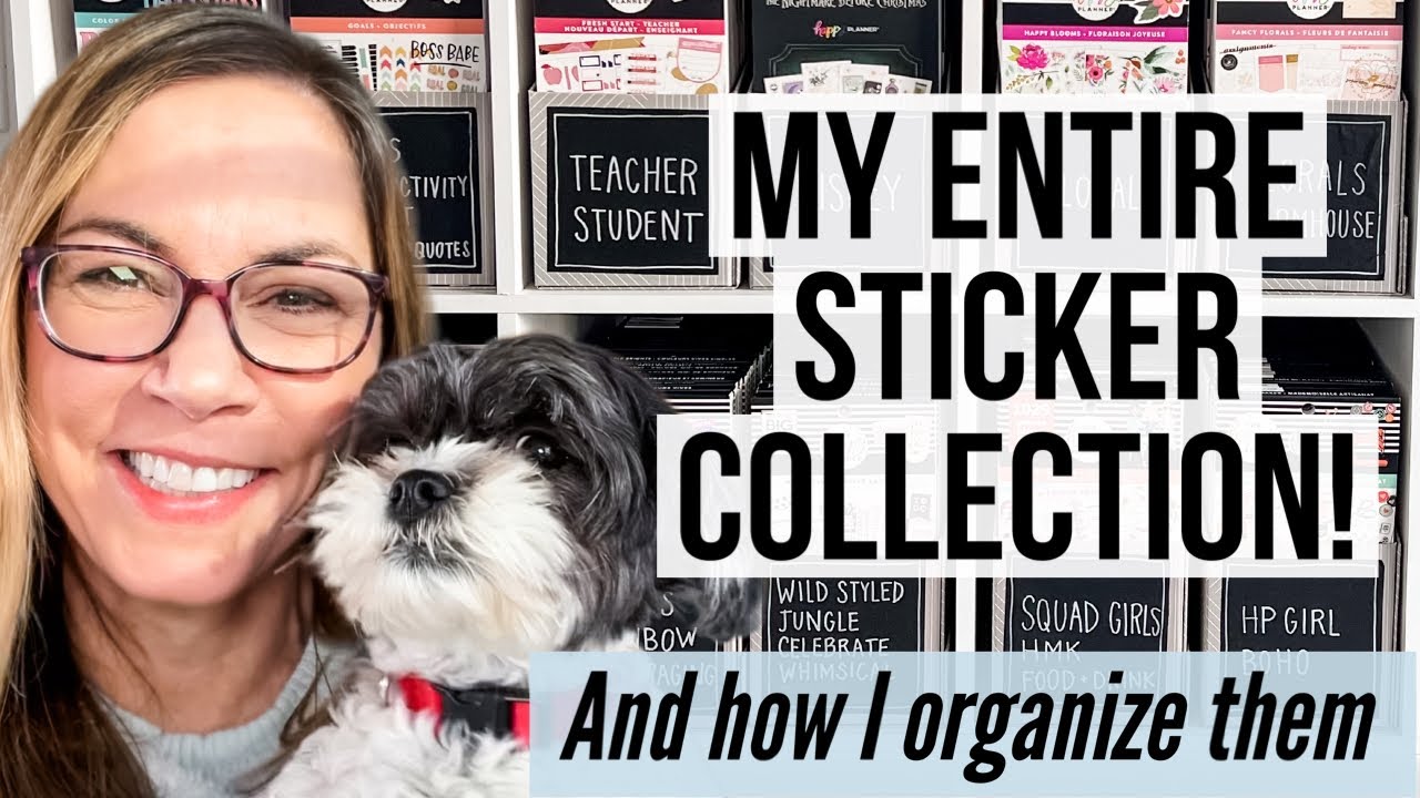My Entire Planner Sticker Collection + How I Store & Categorize All of Them! Sticker Storage Ideas