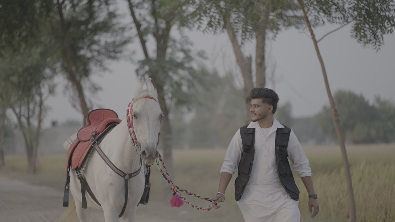 WEDDING Highlights A FILM BY RAVI PHOTOGRAPHY HIMMATPURA