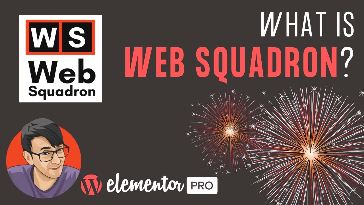 What is Web Squadron all about?