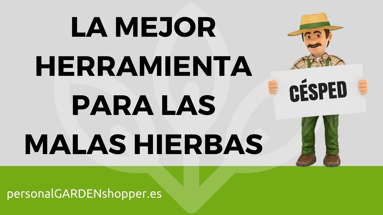 LA MEJOR HERRAMIENTA PARA QUITAR LAS MALAS HIERBAS DEL C&Eacute;SPED