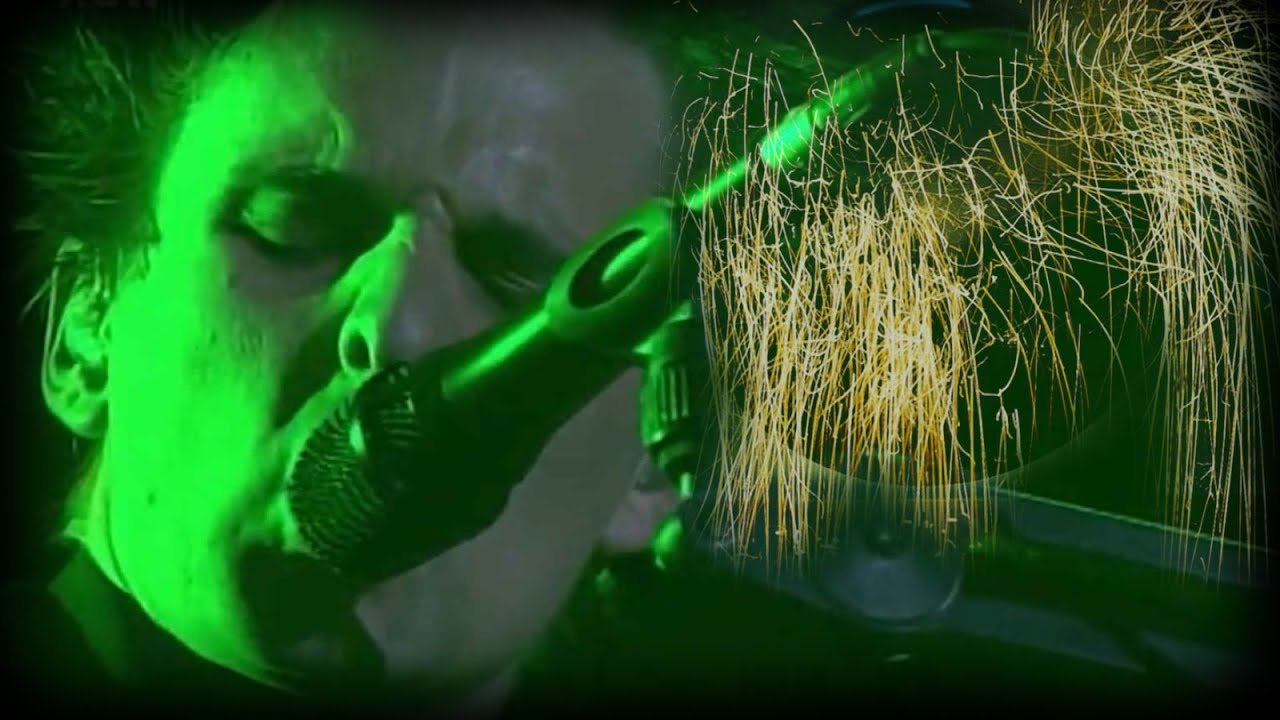 Muse - Dead Star - 20 Years of Live