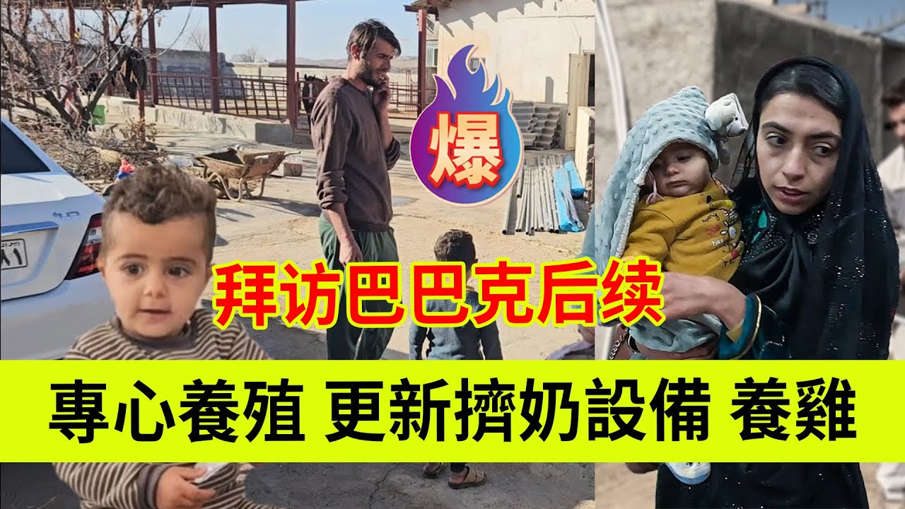 米娜决定专心养殖，拜访巴巴克后续。伊朗女人米娜纪录片最新后续