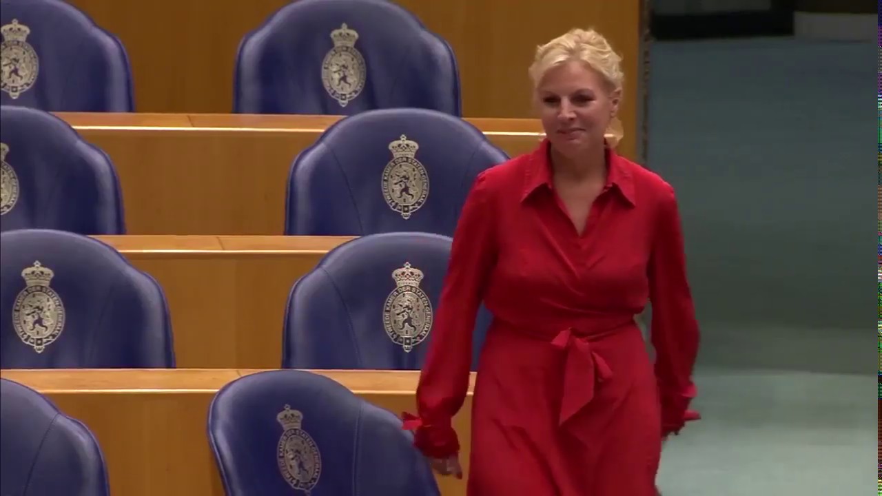 Theo Hiddema vloert Attje Kuiken met charme-repliek