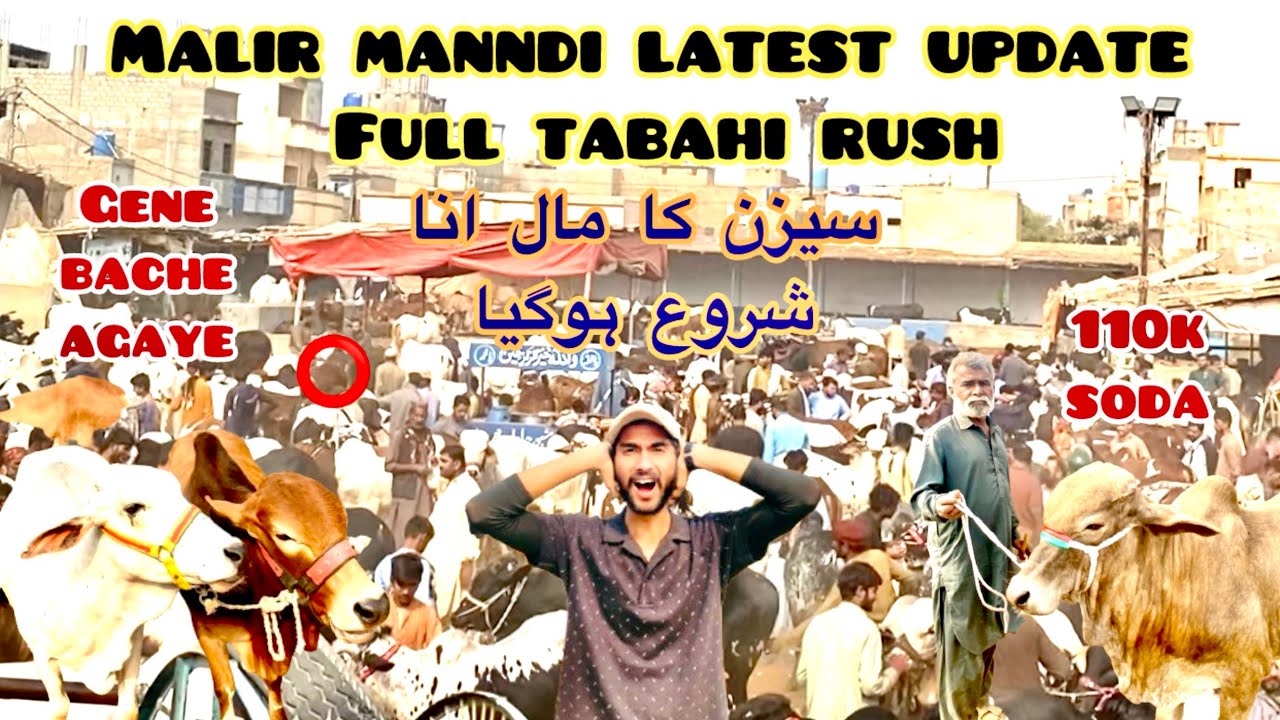 Ramzan sai pehle mandi mai maal anna shuru hogeya 30/12/2025