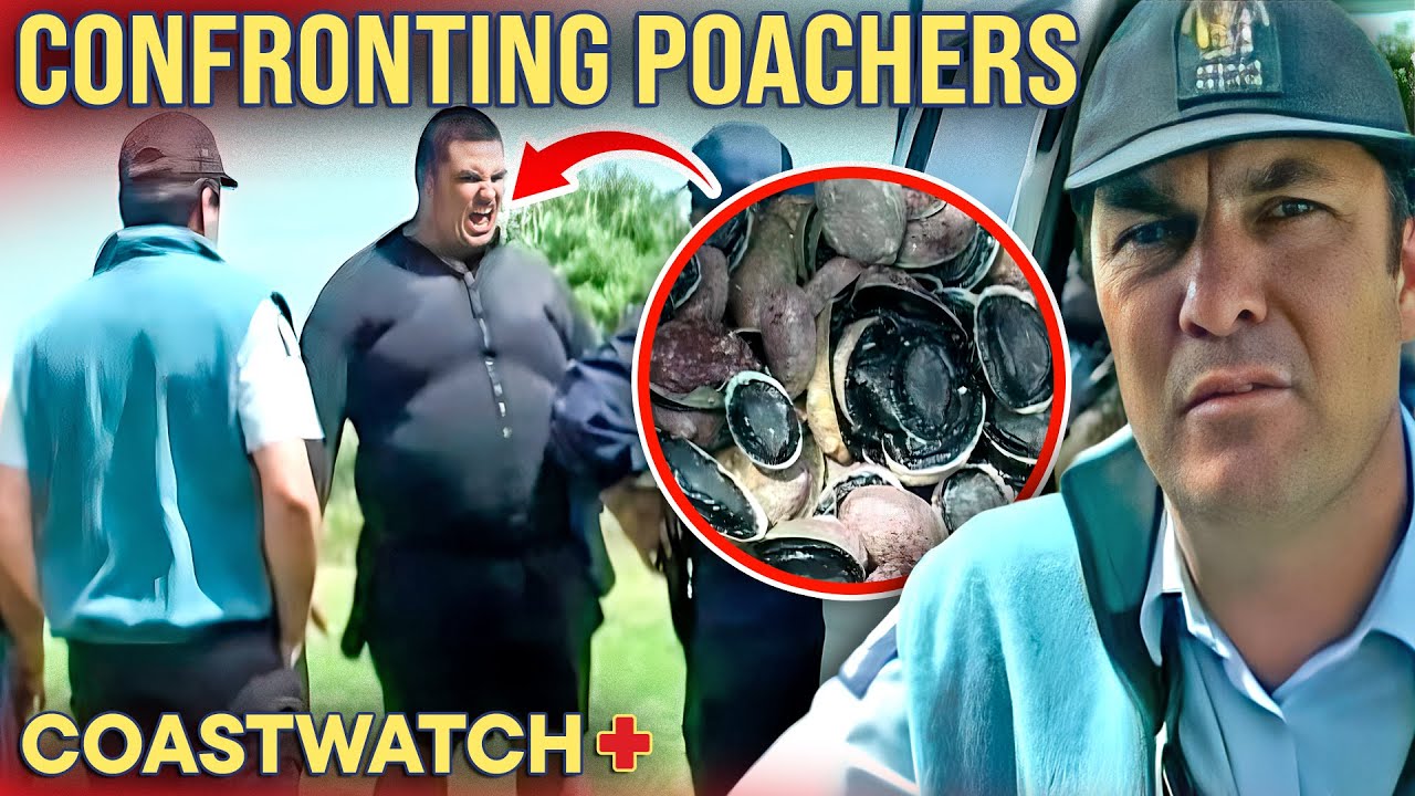 Illegal Poachers Confronted By Fisheries! | Coastwatch - S2 E6 (FULL EPISODE)