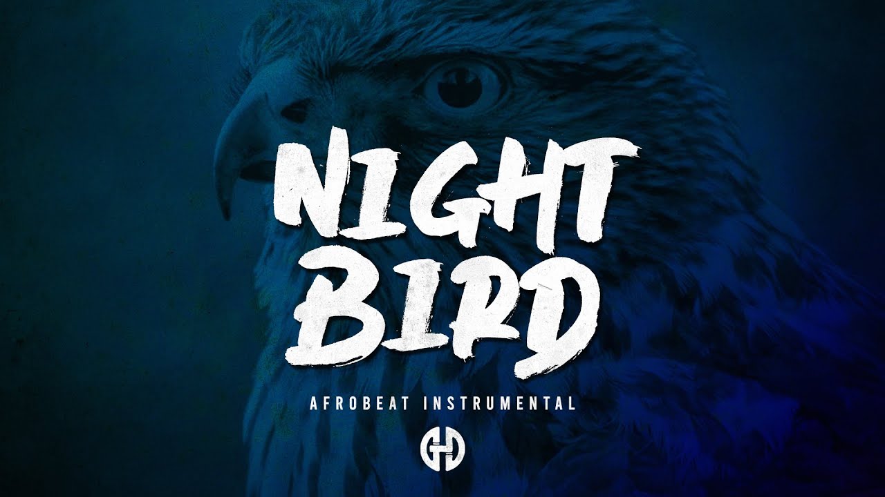 [FREE] NIGHT BIRD riddim | Afrobeat world electro instrumental type beat 2026