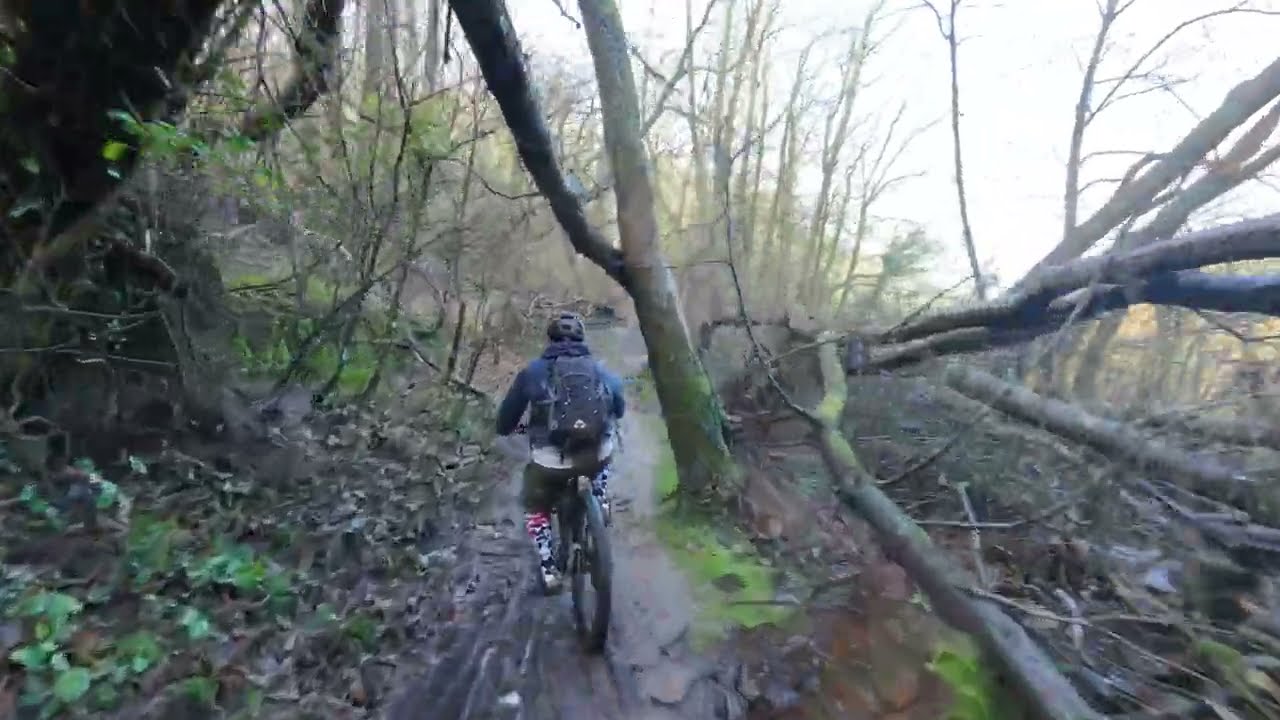 DJI Neo 2 - mountain bike follow cam through the woods